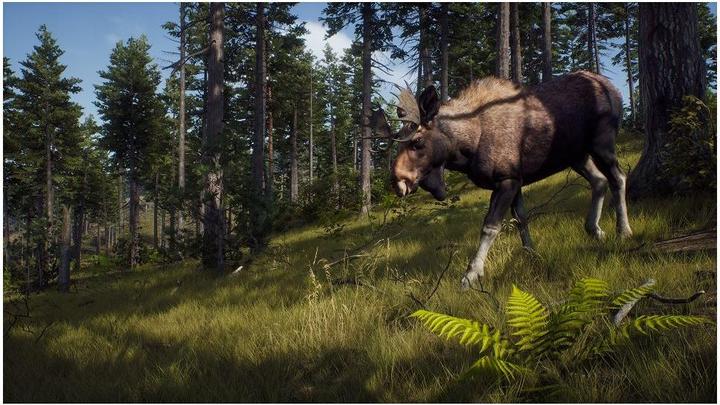 Produktbild THQ Way of the Hunter (PC, EN)