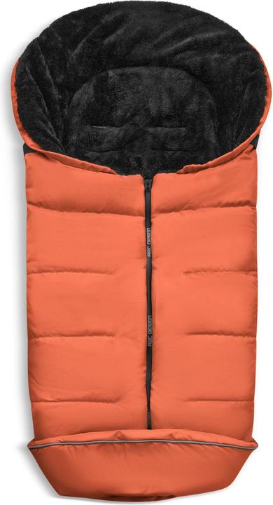 Carrot
