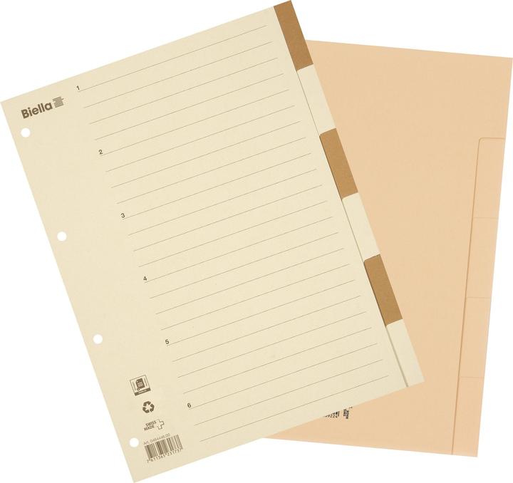Actual product image Biella Register cardboard light brown