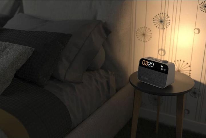 Actual product image Pure Moment (FM, DAB+, Bluetooth)
