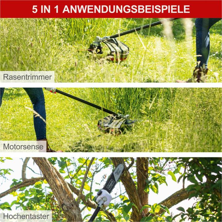Immagine prodotto Scheppach MTC42-5P (Tagliasiepi a benzina)