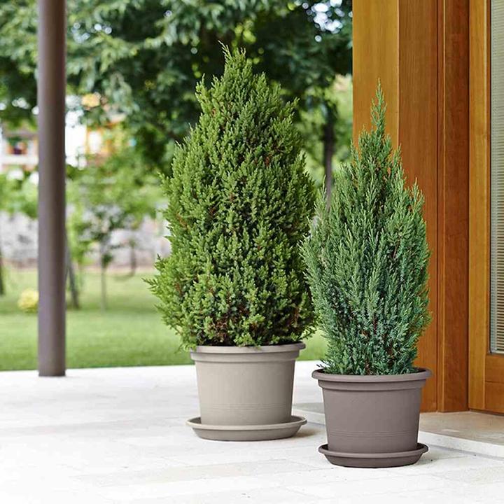 Actual product image Euro3plast Planter (55 cm)