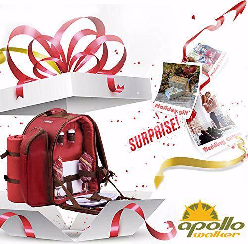 Actual product image Apollo Walker Picnic backpack for 2 persons