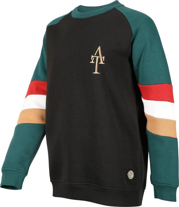Actual product image Aubrion Girls Team Sweatshirt (128)