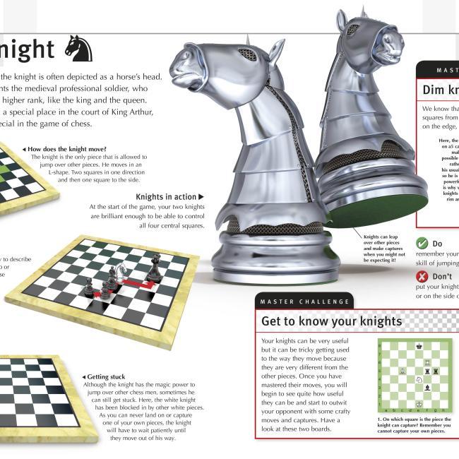 Actual product image How to Play Chess