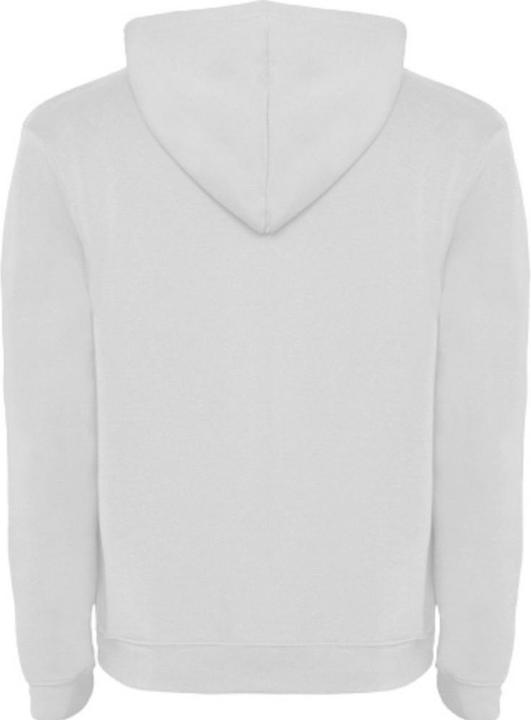 Actual product image Alpinia Mens Urban Hoodie (XL)