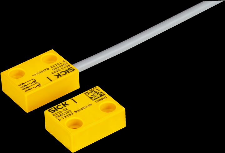 Immagine prodotto Sick Interruttore di sicurezza (Interruttore)