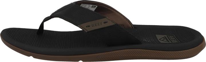 Reef Santa Ana