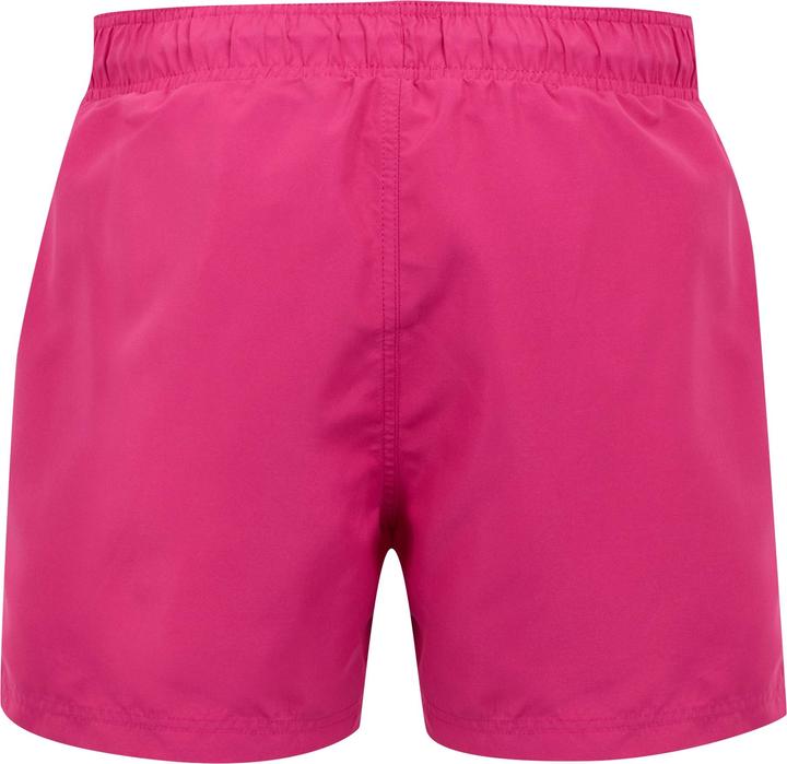 Produktbild Regatta Mawson II Kurze Hose (3XL)
