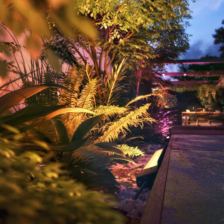 Image du produit Philips Hue Alimentation extérieure Hue