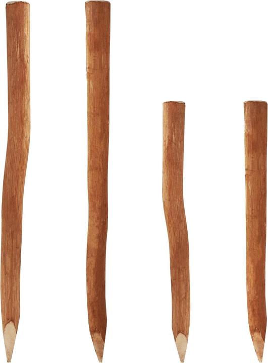 Actual product image Aquagart 20 Holzpfosten für Staketenzaun 1,5m I Durchmesser 6-9cm I Zaunpfosten aus Haselnuss I Zaun-Pfahl