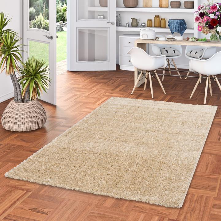 Produktbild Pergamon Hochflor Langflor Teppich Aloha (120 x 170 cm)