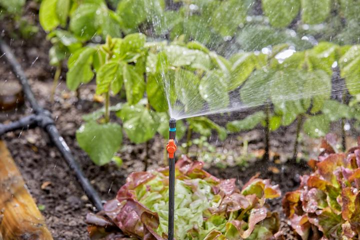 Produktbild Gardena Micro-Drip-System (Tropfschlauch + Tropfrohr)