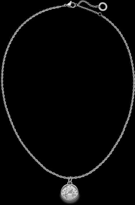 Produktbild Paul Hewitt PH-JE-1220 (Marinium, recycelter Edelstahl)