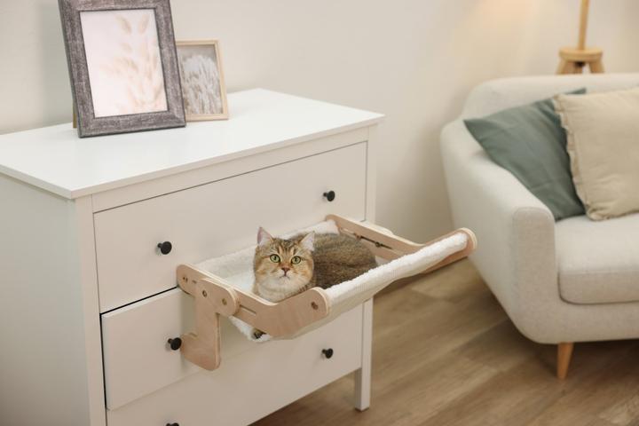 Actual product image Kerbl Cat hammock Nap (Cat)