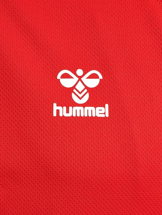 Actual product image hummel Hmlauthentic Pl Zip Jacket (S)