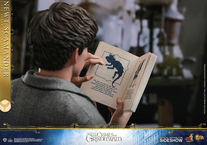 Actual product image Hot Toys Fantastic Beasts 2 "Newt Scamander" 1/6 Scale Figure