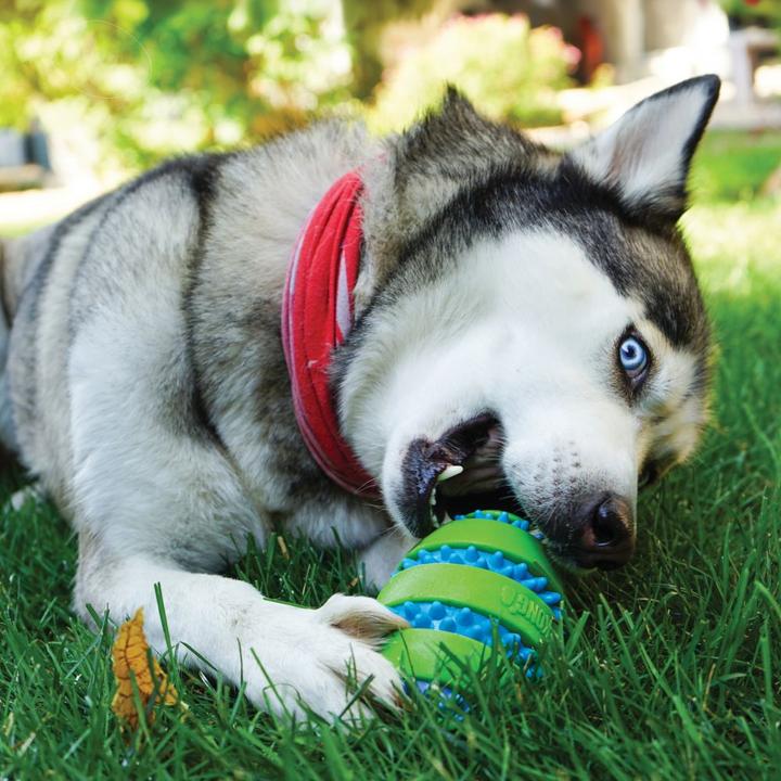 Immagine prodotto KONG Giocattolo per cani Squeezz Goomz Ball (Palla giocattolo per cani)