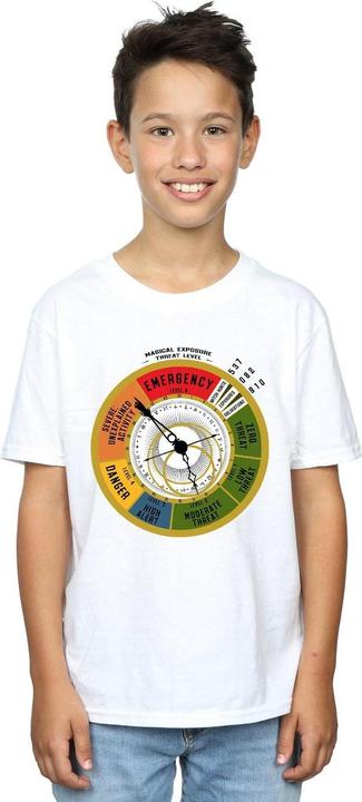 Actual product image Fantastic Beasts Boys Threat Level T-Shirt (128)