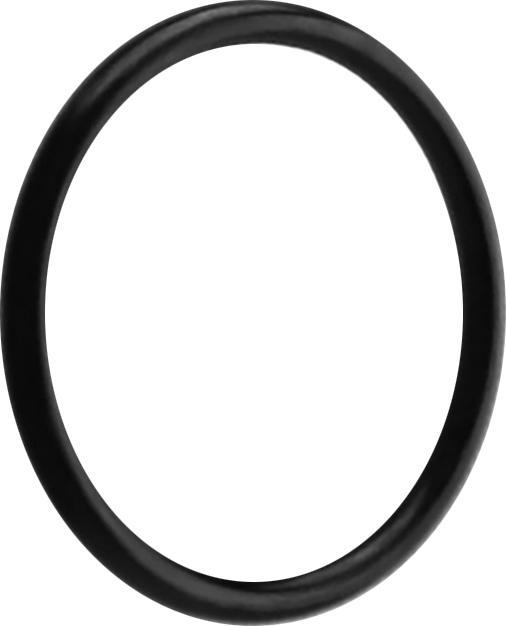 Immagine prodotto Star Piercing O-ring nero (senza ottone, Silicone)