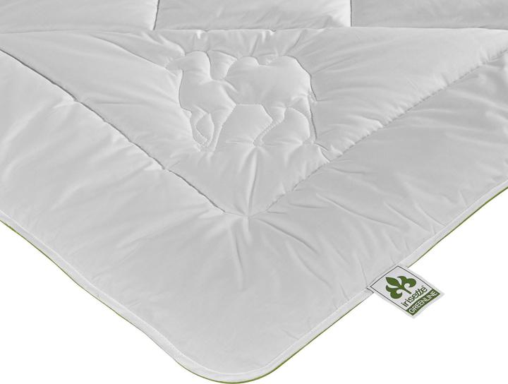 Actual product image Irisette Greenline Kamelhaar ECO (1400 g, 135 x 200 cm)