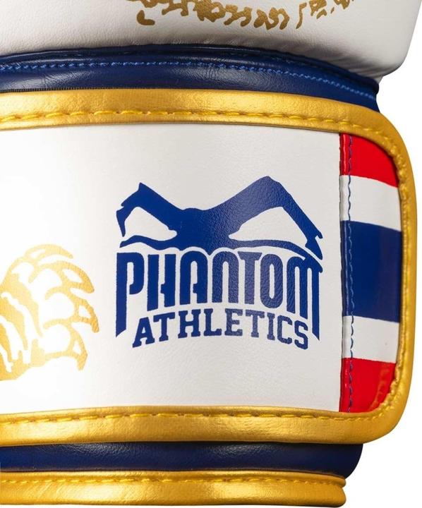 Image du produit Phantom Athletics Muay Thai Boxhandschuhe (14 OZ, Taille unique)
