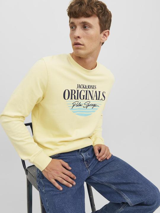 Produktbild Jack & Jones Jorpalma Branding Sweat Crew Neck (S)