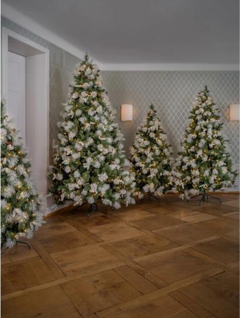 Image du produit STT LED Frosted Tree (180 cm)