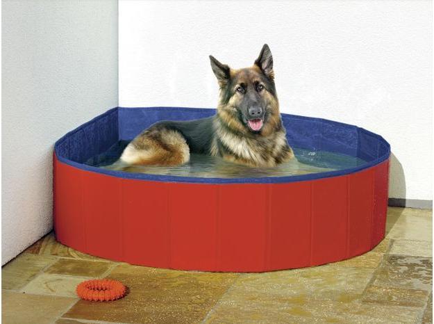 Produktbild Flamingo Doggy Splash Pool Red/Blue L - (540058500220) (Hundepool)