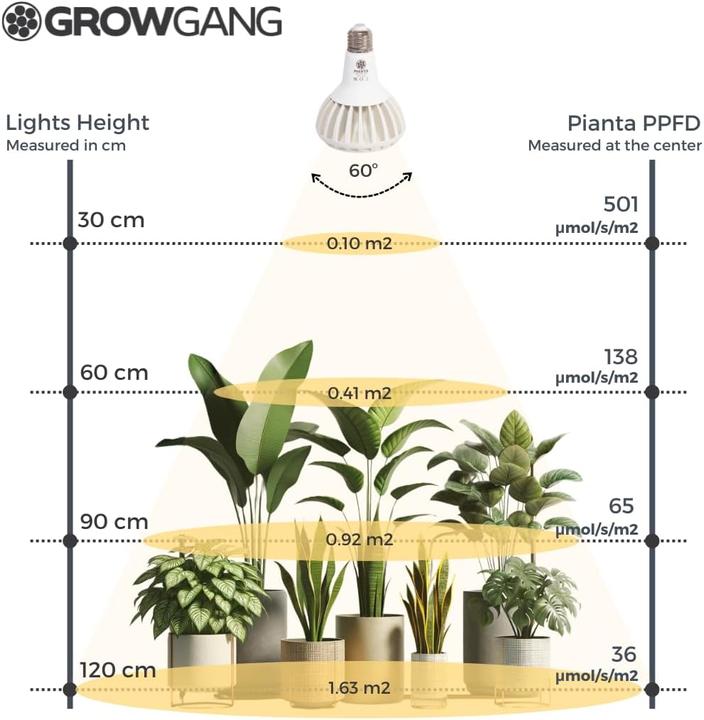 Produktbild Grow Gang Vollspektrum LED Pflanzenlampe Pianta (LED)