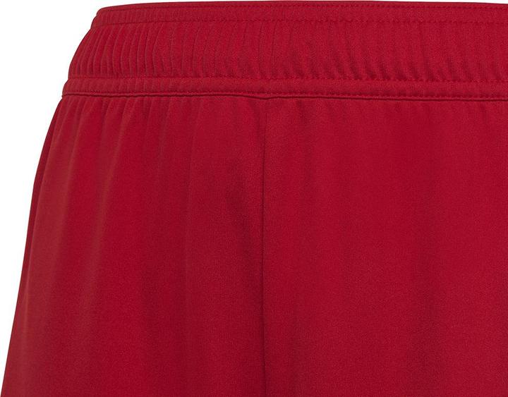 Actual product image adidas Tiro 23 training shorts kids (128)