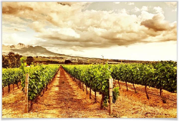 Actual product image Trenddeko Vines in the mountains (90 x 60 cm)