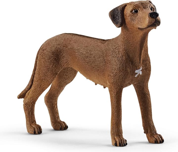 Produktbild Schleich Rhodesian Ridgeback