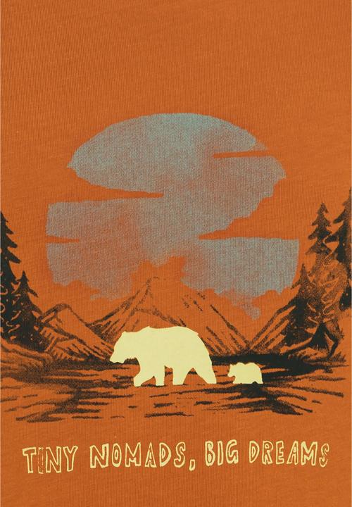 Actual product image Jack Wolfskin Graphic Cotton T Kids (140)