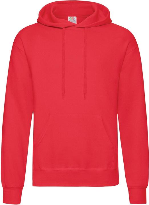 Actual product image Fruit of the Loom Unisex Adults Classic Hooded Sweatshirt (L)