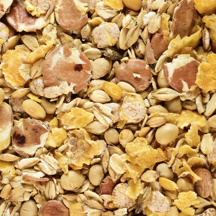 Produktbild Caperlan Körner geröstet 5 kg Karpfenangeln