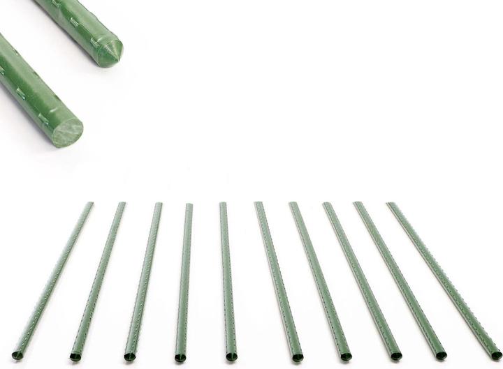 Image du produit Toboli 10x Tuteurs Plantes en 60cm Ø8mm Métal Plastique Support Plantes grimpantes Tomate Rose (0.80 cm, 0.80 cm)