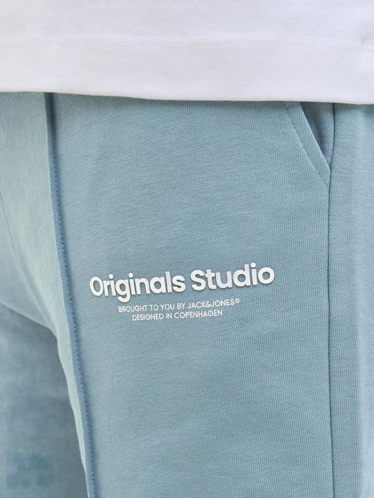Image du produit Jack & Jones Jpstkane Vesterbro Sweat Shorts Lng Sn (M)