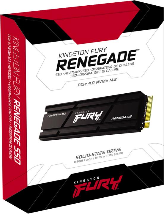 Actual product image Kingston FURY Renegade with Heatsink (1000 GB, M.2 2280)