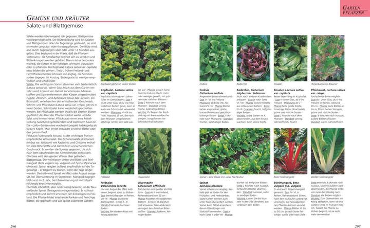 Produktbild Das grosse Gartenbuch (Deutsch, Jürgen Becker, 2016)
