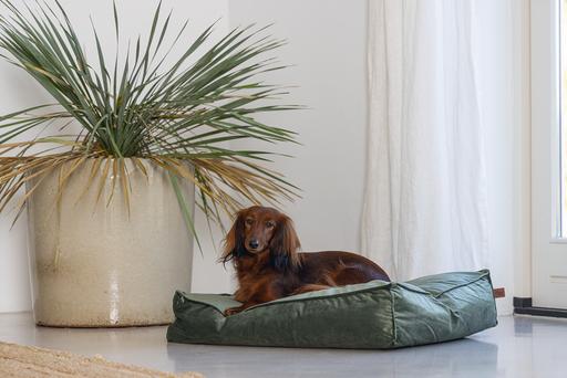 Actual product image Designed by Lotte Nalino (Dog)