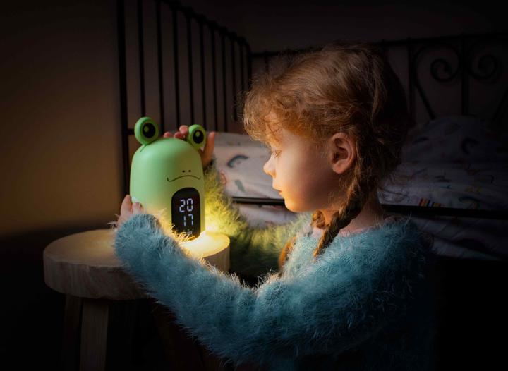 Actual product image Bigben Frog
