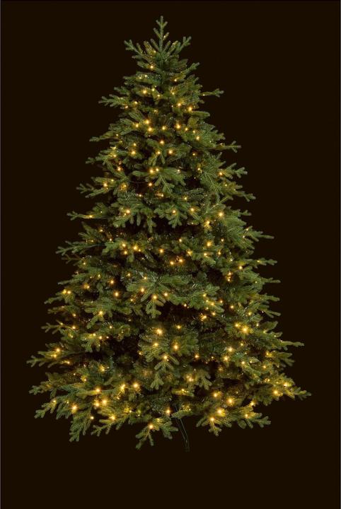 Actual product image STT Tree (220 cm)