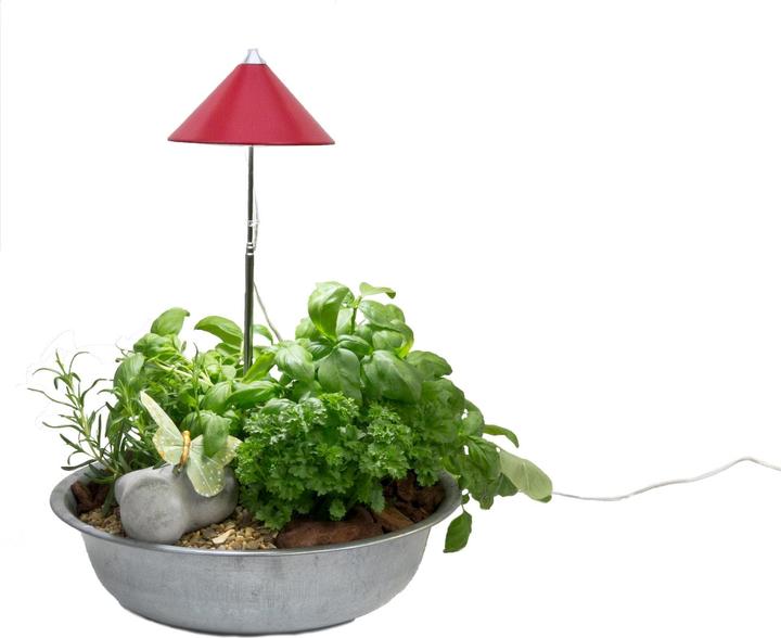 Actual product image Colibri Sunlite (LED, 230 V)