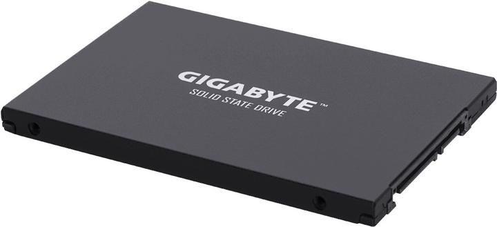 Produktbild Gigabyte GP-GSTFS30256GTTD (256 GB, 2.5")