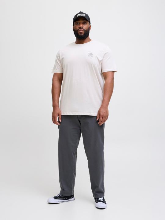 Actual product image Jack & Jones Jpstkane Fctry Fabric2 L2 Chino Pant Pls (W50/L32)