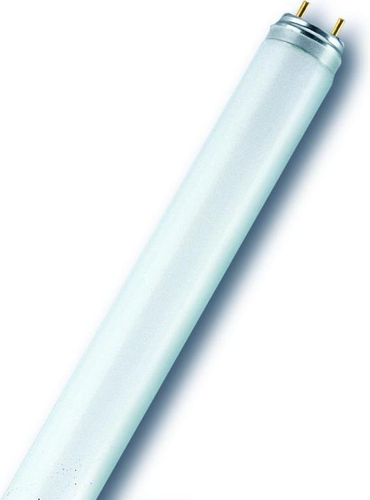 Immagine prodotto Osram Lampada fluorescente Tubolare bianco caldo (G13, 18 W, 1350 lm, 25 x, A)