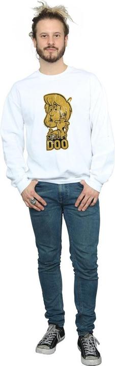 Produktbild Scooby Doo And Shaggy Sweatshirt (L)