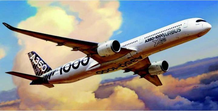 Actual product image 1:144 Airbus A350-1000