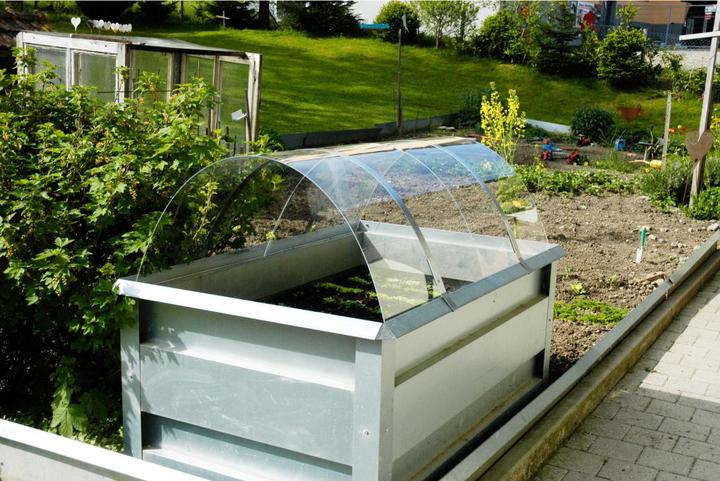 Colibri Abdeckung